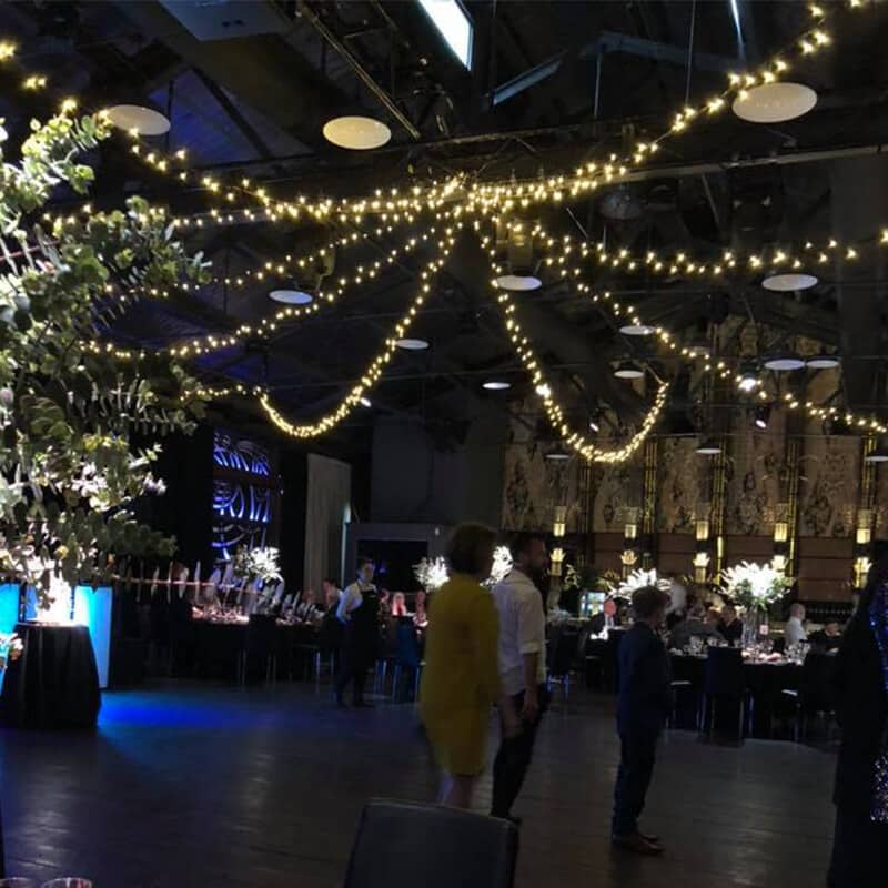 fairy Light Canopy From AYRE LTD