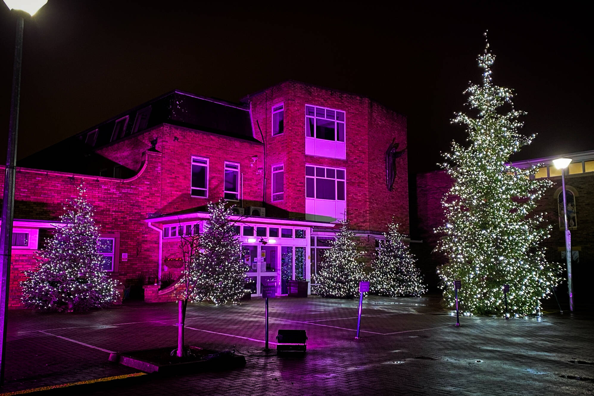 Outdoor lighting at St Gemma's Hospice Virtual Light Up a Life Event 2020