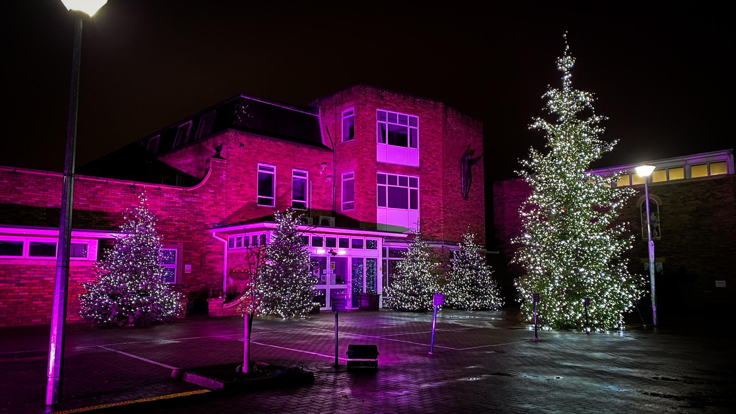 Outdoor lighting at St Gemma's Hospice Virtual Light Up a Life Event 2020